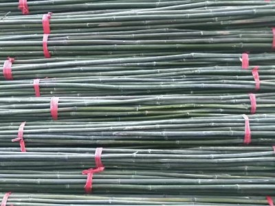 芊祥建筑 天然竹子原材料 长短可定