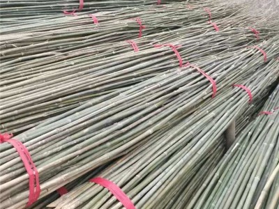 细竹竿纯天然材料防腐竹杆豆角架用